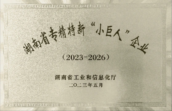 Hunan specialised and innovative “Little Giant” enterprise — original Chinese certificate