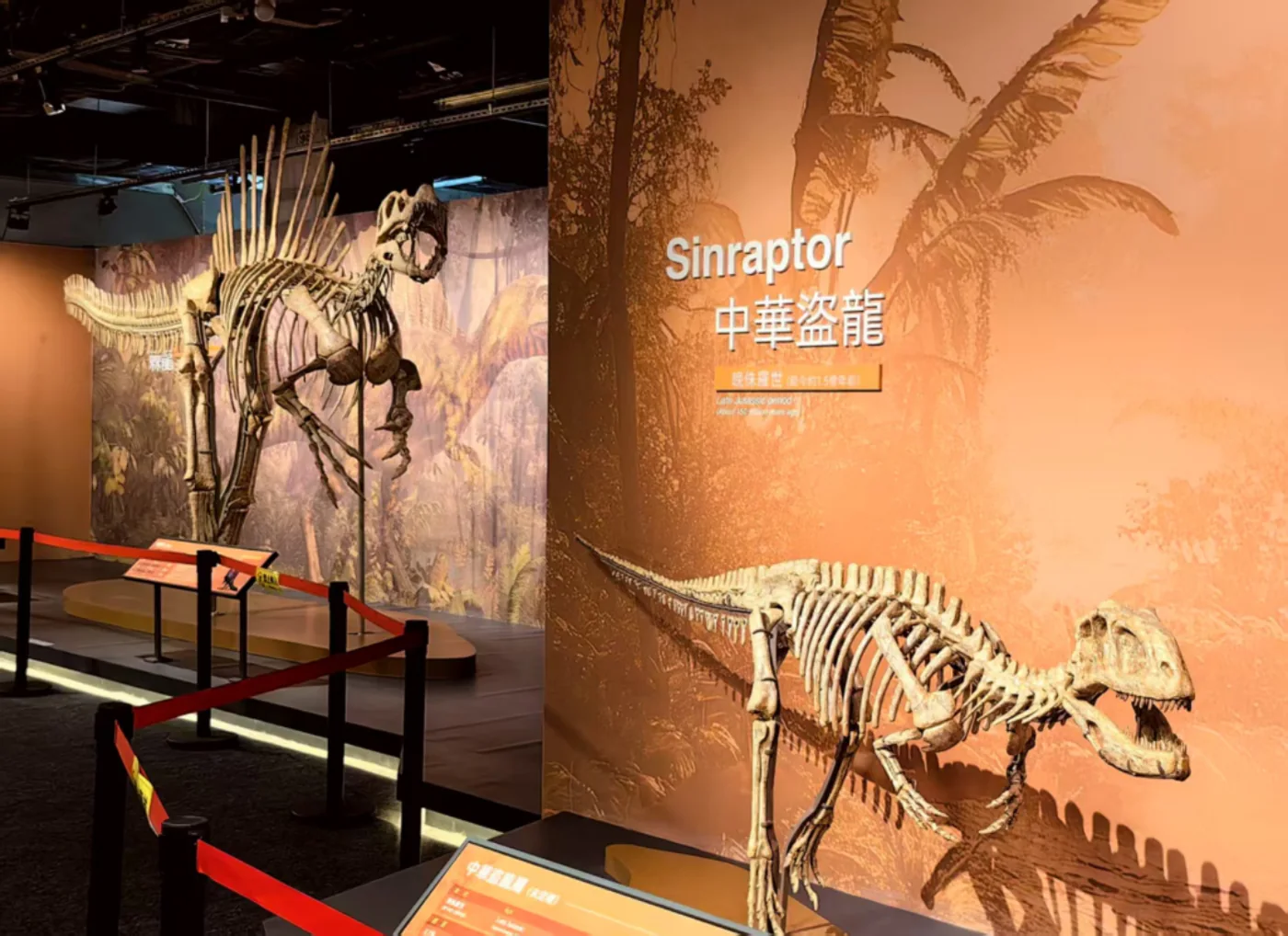 香港“恐龙时代”恐龙古生物化石科普展