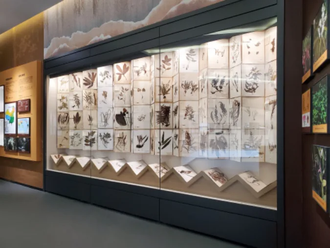 庐山植物园山南分园标本馆 · 项目展示 4