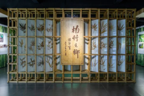 中国(桃江)竹文化博览馆 · 项目展示 4