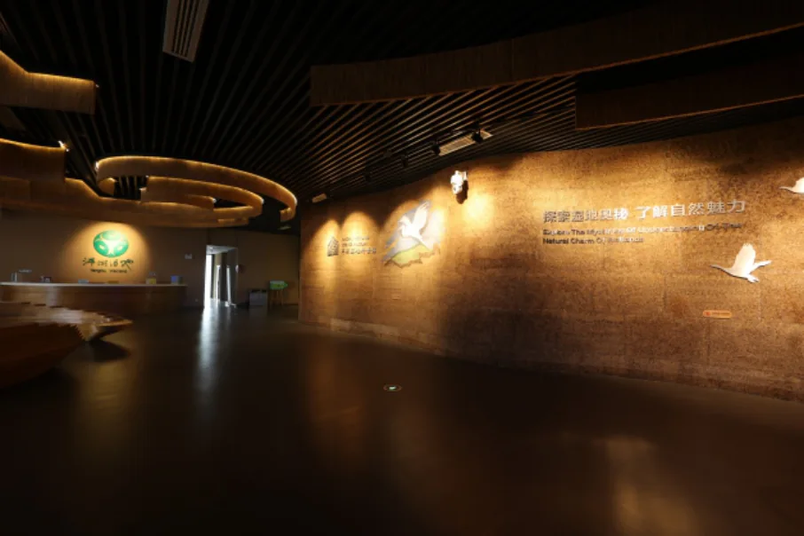 洋湖湿地科普馆 · 项目展示 2
