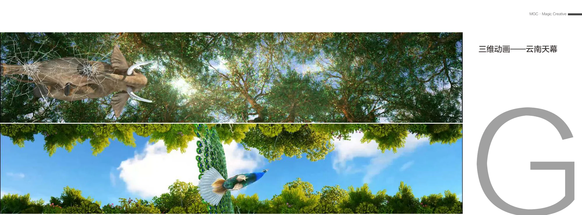 Yunnan Canopy Film — original portfolio imagery