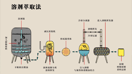 现代提香