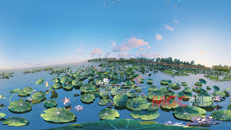 九江湿地公园鸟类VR